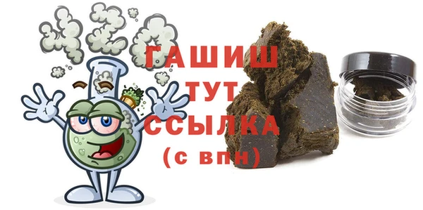 стаф Инта
