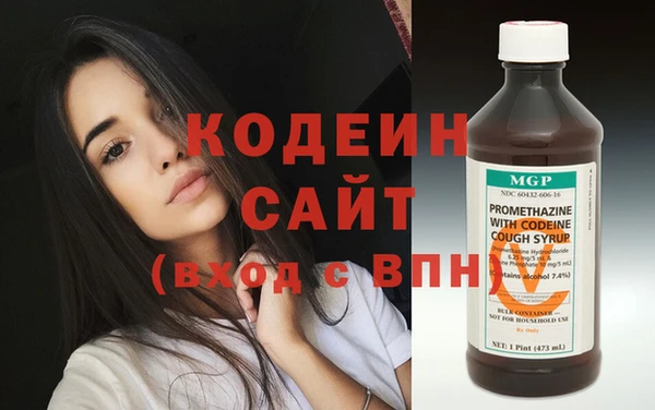 стаф Инта