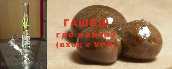 стаф Инта