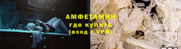 стаф Инта