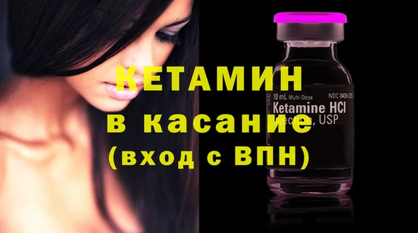 стаф Инта