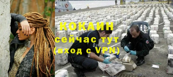 стаф Инта
