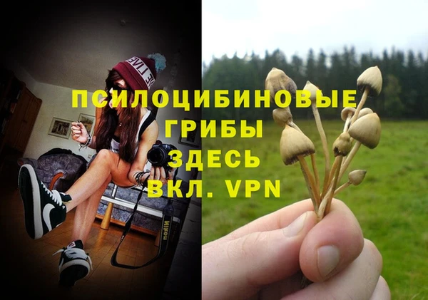 дмт Иннополис