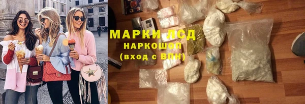 стаф Инта
