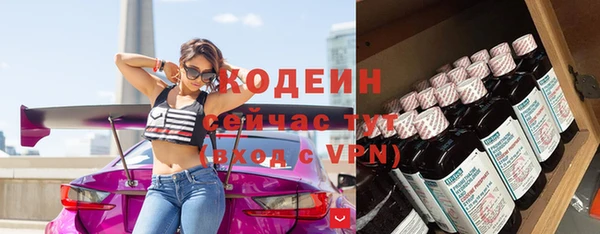 стаф Инта