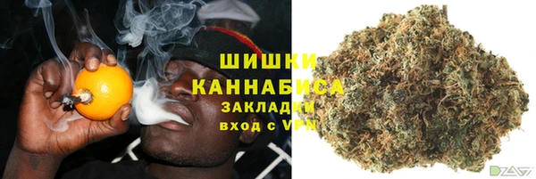 стаф Инта