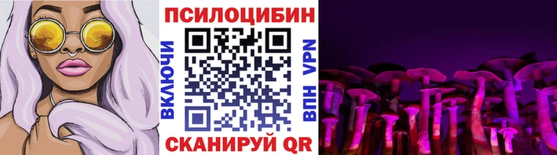 Галлюциногенные грибы ЛСД Купить где Павловск